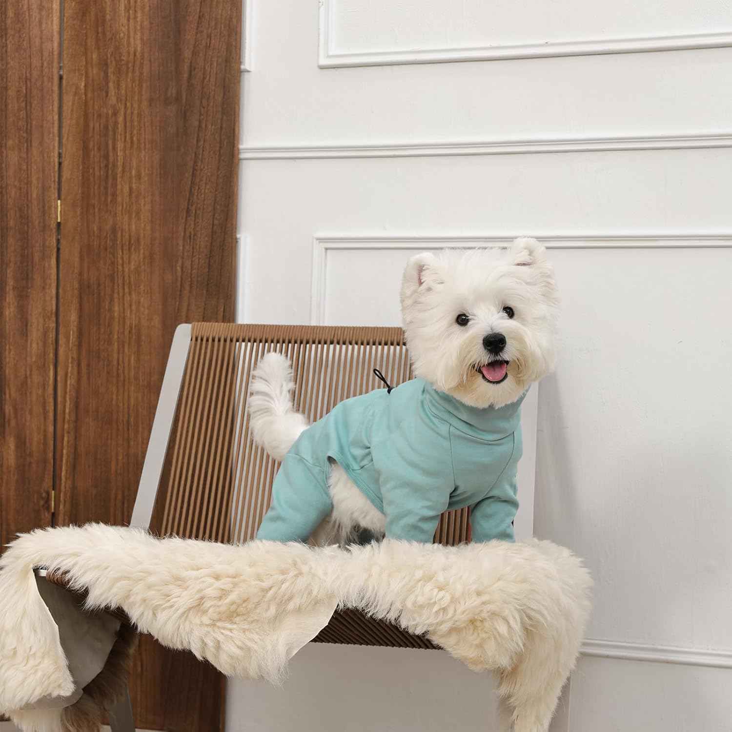 Medium Dog Pajamas with Back Zipper & Adjustable Drawstrings, Soft Dog Onesie Pjs, Easy On/Off Comfy Anti-Licking Dogs Outfits Jammies Shedding Suits, Beagle, Springer Spaniel, Green L