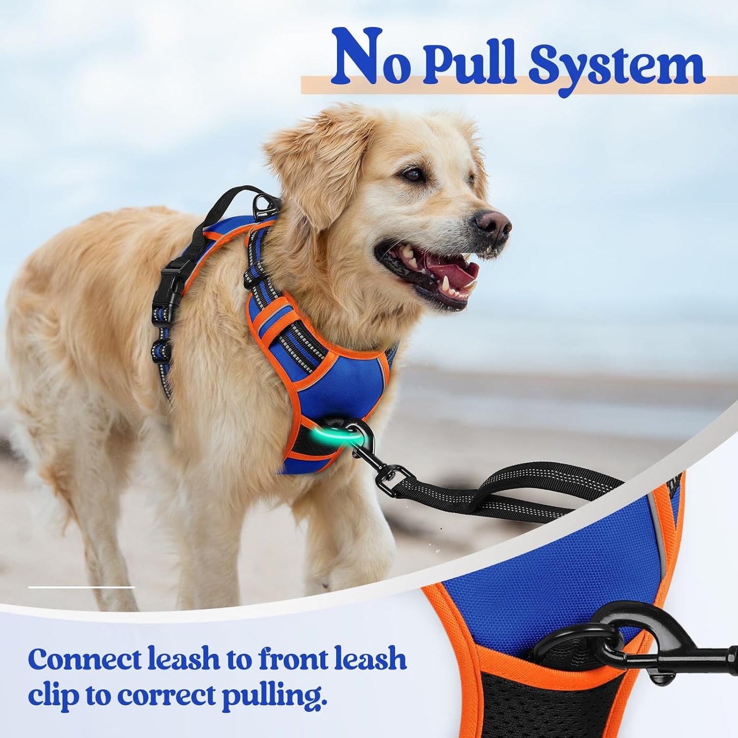 rabbitgoo Dog Harness No Pull with 2 Leash Clips, Adjustable Soft Padded, Reflective Oxford No Choke Pet Vest with Easy Control Handle for Small Dogs, Blue & Orange, S