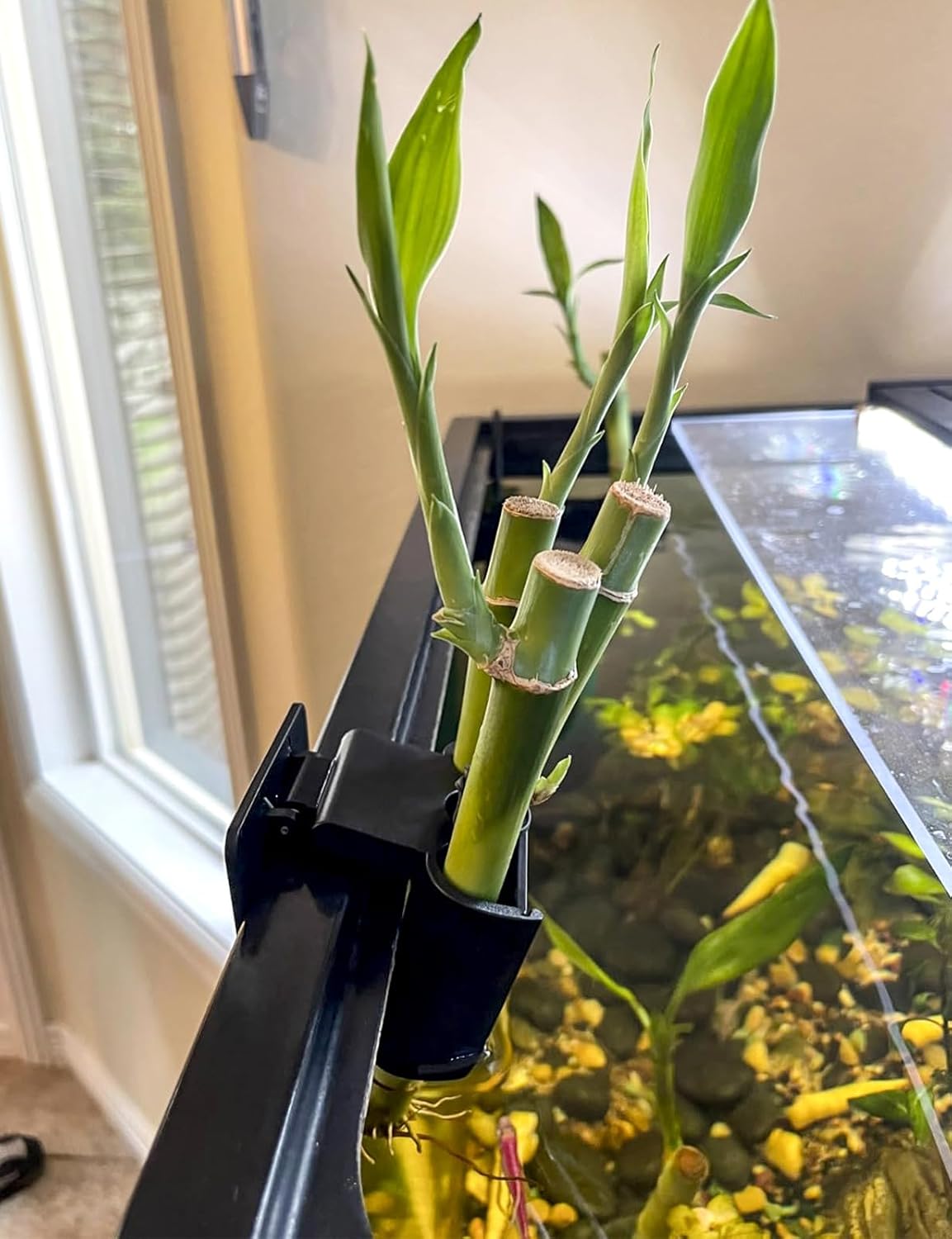 sogiv 3 Holes Aquatic Plant Cups, Hanging Aquarium Plant Holder, for Fish Tank Plants Potting, Aquascape Accessories Decorations, Black, 1 Pcs