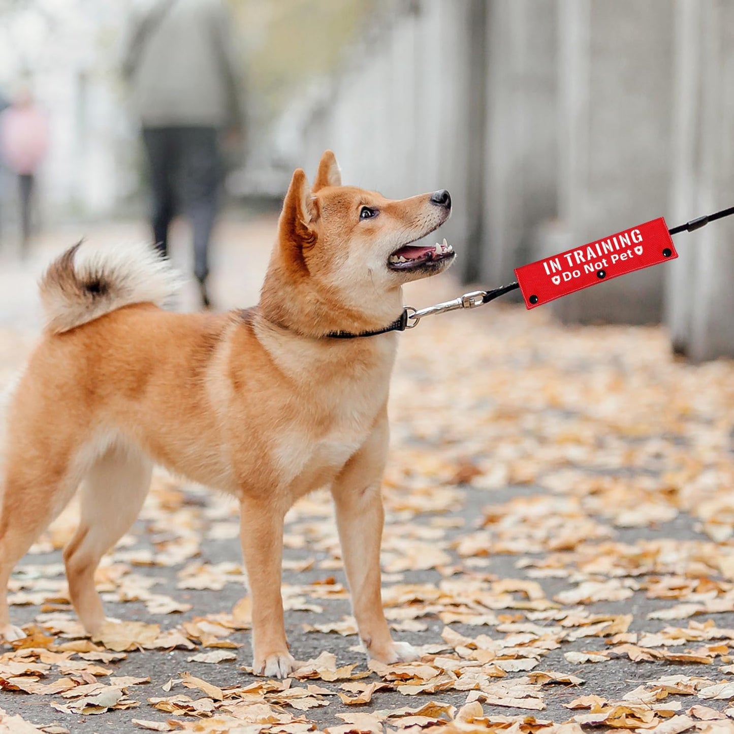 Advivio in Training Do Not Pet Funny Red Dog Leash Sleeve - Leash Wrap for Pet Dogs Walking - Dog's Gift and Dog Owner Gift