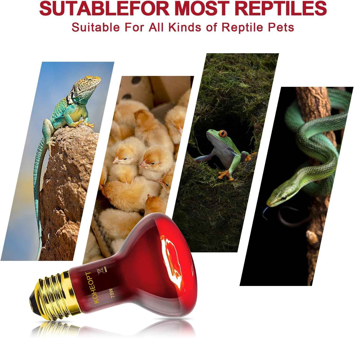 2-Pack 75W Reptile Heat Lamp Bulb, Infrared Heat Emitter Red Heat Lamp for Reptile Amphibian, Infrared Basking Spot Light Bulb,Red Heat Lamp for Chickens、Lizards、Snakes、Turtles