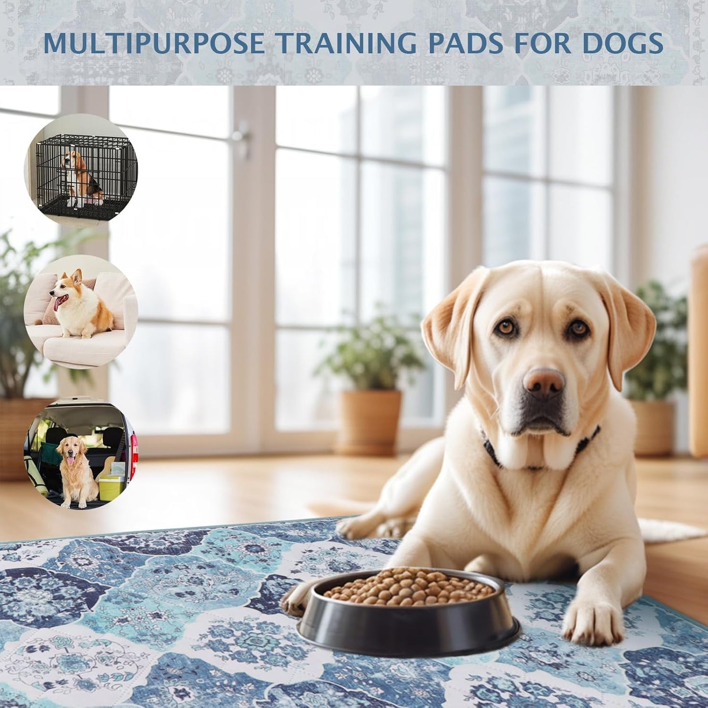 IEUUMLER Washable Pee Pads for Dogs, 2 Pack Reusable Pee Pads for Dogs Non-Slip Grip, Super Absorbent Waterproof Puppy Pads for Potty Training, Playpen, Crate, Whelping Box EU011 (Blue,24" x 18")