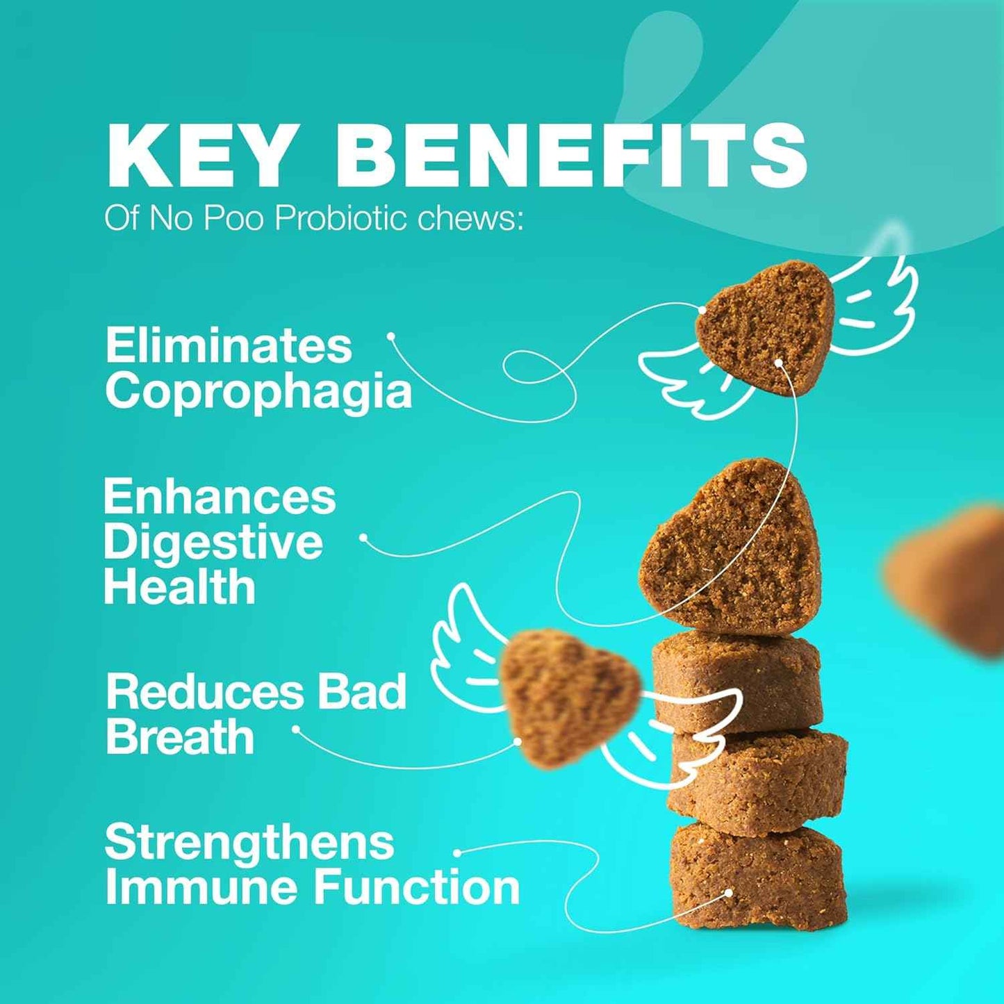 No Poo Chews for Dogs - Coprophagia Deterrent - Dog Probiotics for Digestive Health with Enzymes - Canine Stool Eating Deterrent - Digestive, Dental, Gut & Immune Health Treats - No Poop Eating