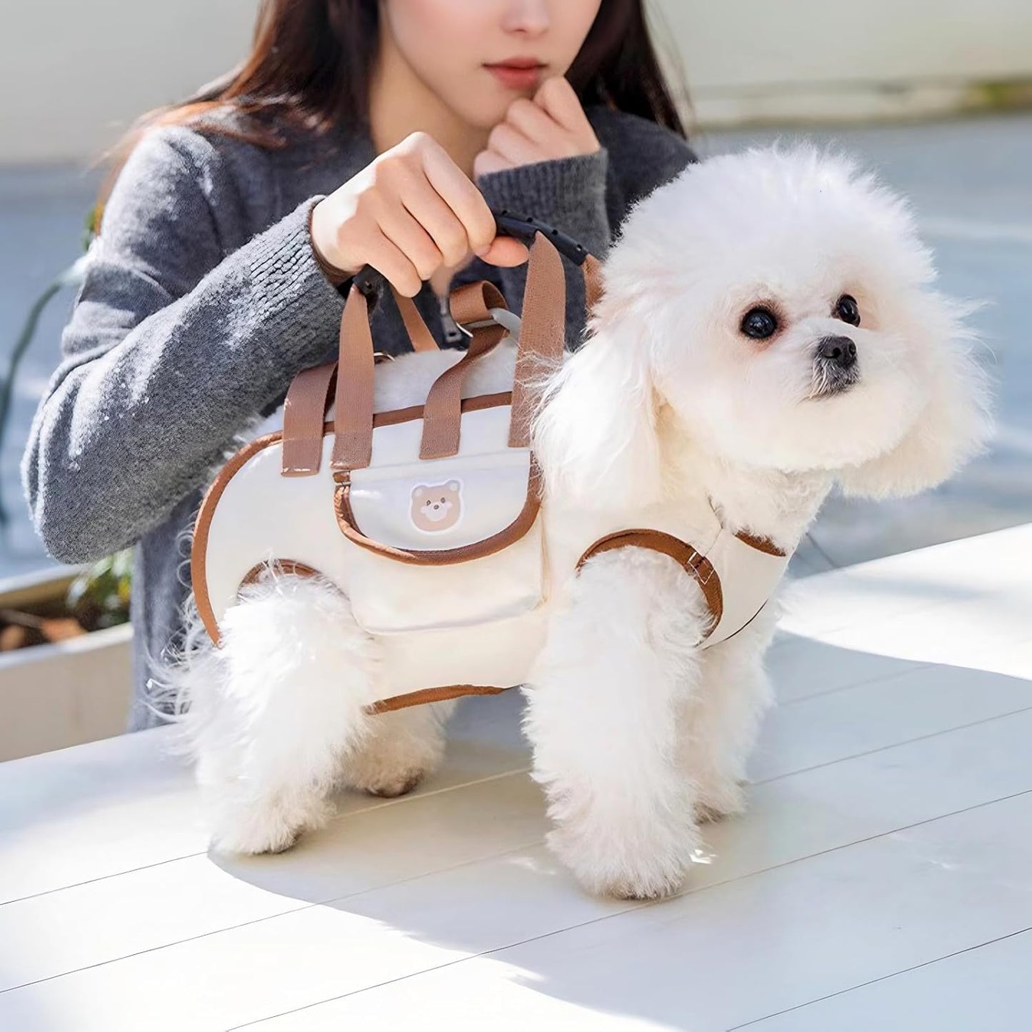 Snuggle Sling Dog Carrier, Adjustable Full Body Lift Harness for Small Dogs and Cats, Portable Breathable Pet Carrier Backpack with Hands-Free Shoulder and Treat Bag(Small)