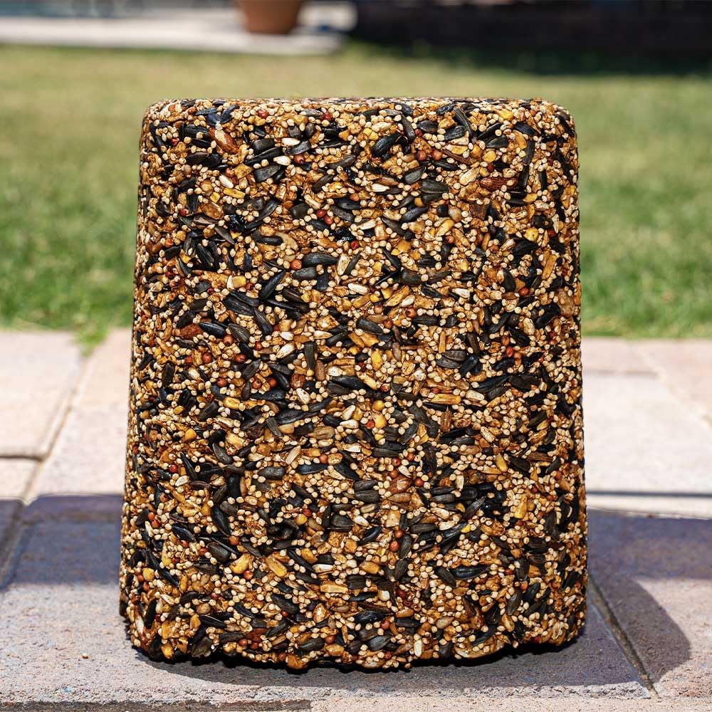 Desert Valley Wild Bird Seed Block Birdie Bistro (8 Pounds)