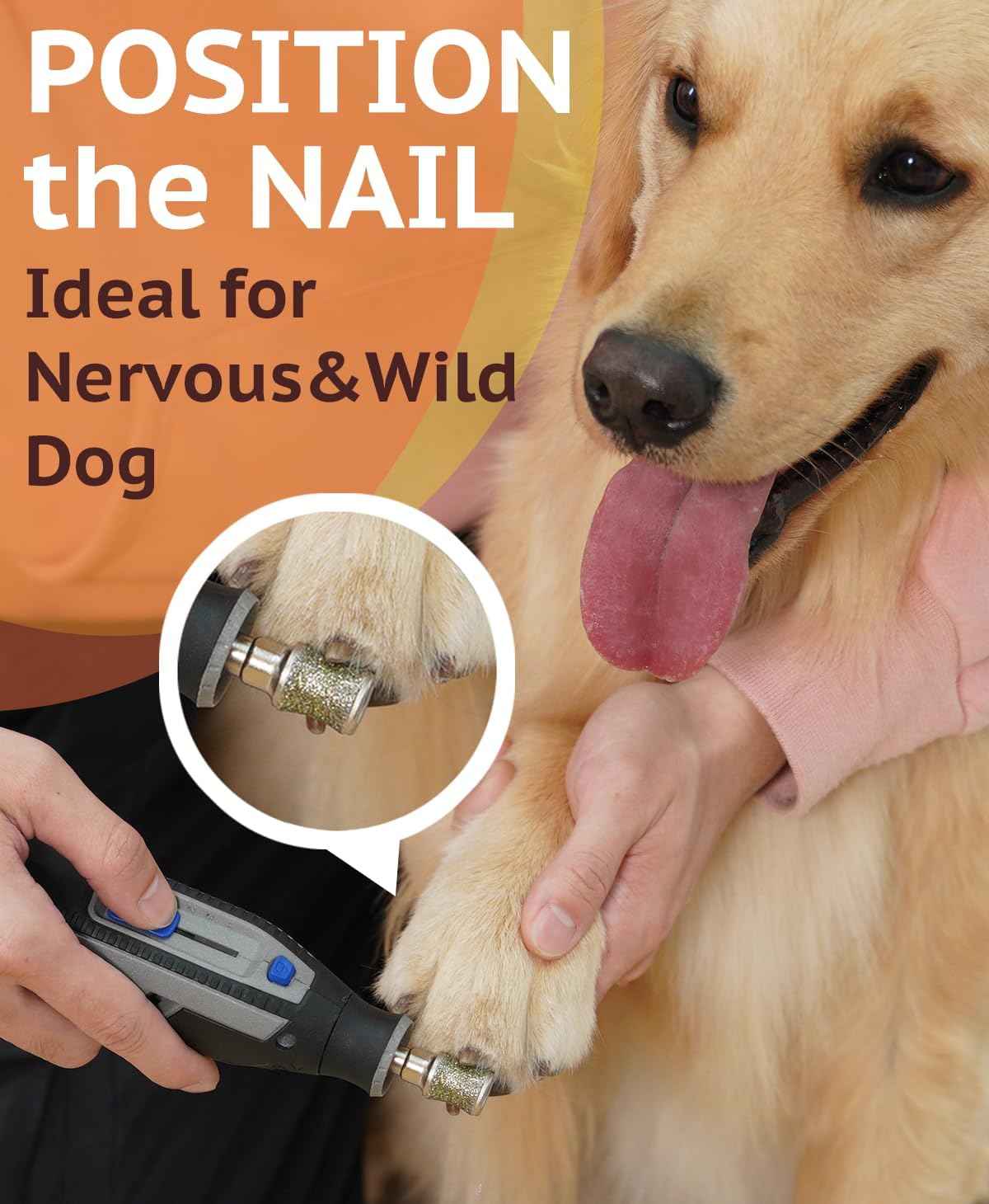 Diamond Dog Nail Grinder Attachment, Diamond Rotory Bit for Dogs&Pets Nail Care, Made for Dremel Grinder for Animals Nail Care & Home Grinder Tools, Retriever, Fast-grit
