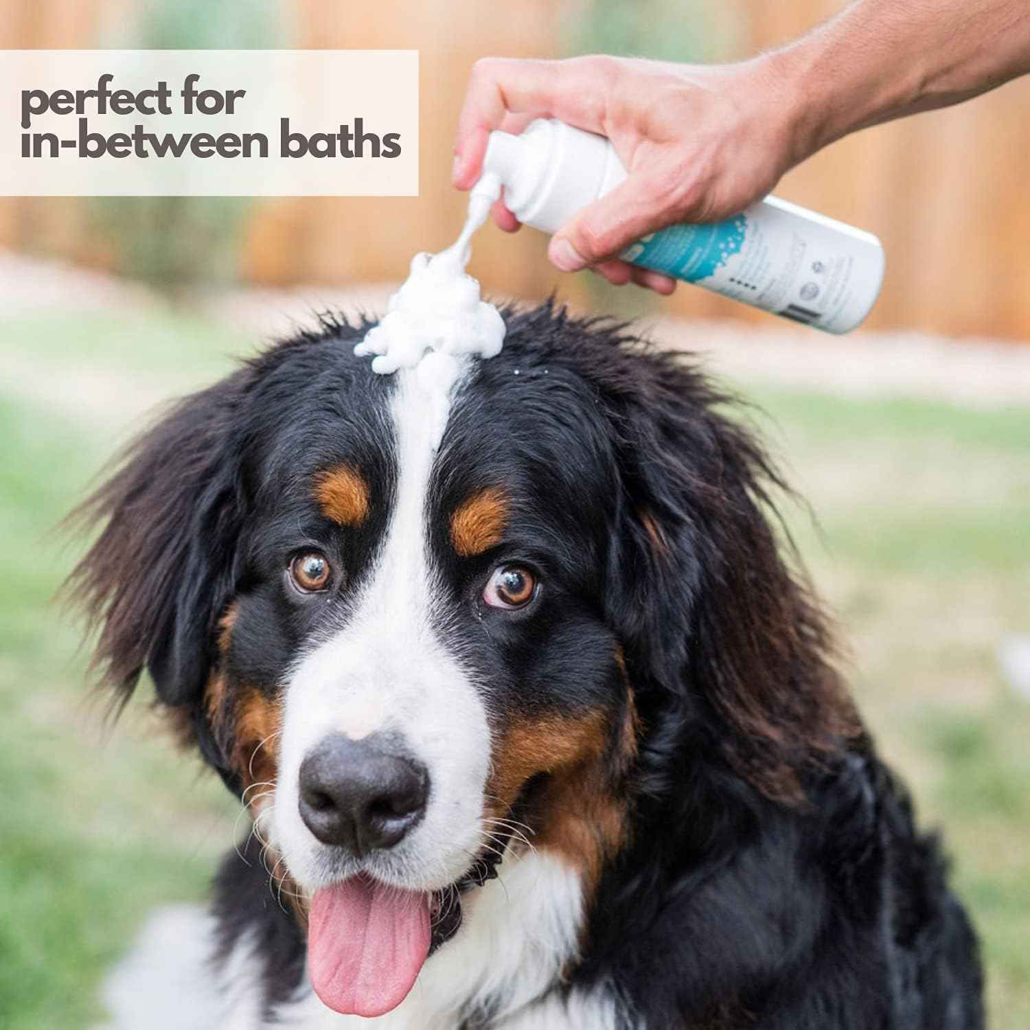 Mighty Mutt Waterless Foam Shampoo for Dogs | Dry Shampoo for Dogs No Rinse | Deodorizes Smelly Dogs | Soothing & Anti-Itch | Hypoallergenic | Waterless Dog Shampoo – Fresh Breeze Refill | 30 fl oz