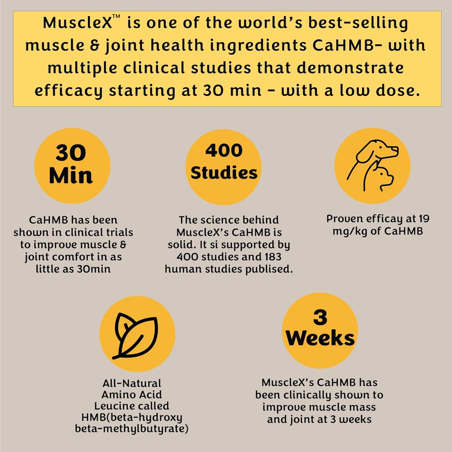 MuscleX™ Canine Muscle Formula Dogs with CaHMB 500 mg and Vitamin D3 - Natural Muscl Building Formula - Helps Reduce Muscle Loss Due to Normal Aging and Improves Recovery from Injury (90 Capsules)