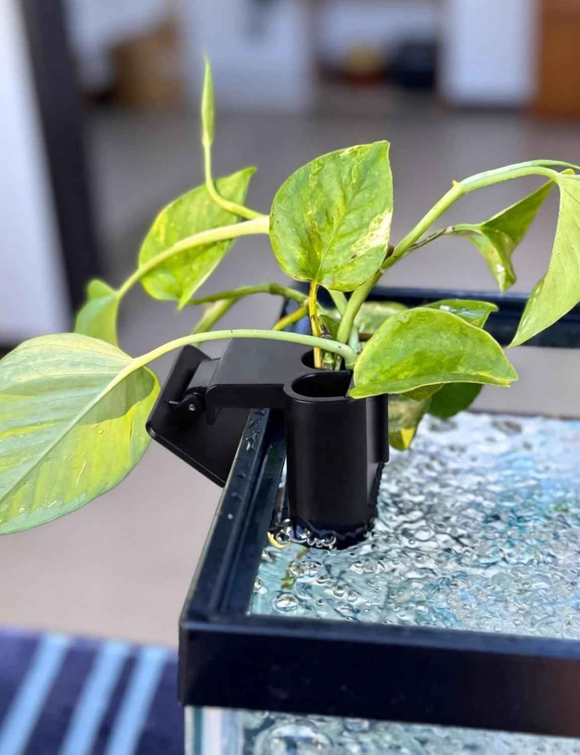 sogiv 3 Holes Aquatic Plant Cups, Hanging Aquarium Plant Holder, for Fish Tank Plants Potting, Aquascape Accessories Decorations, Black, 1 Pcs