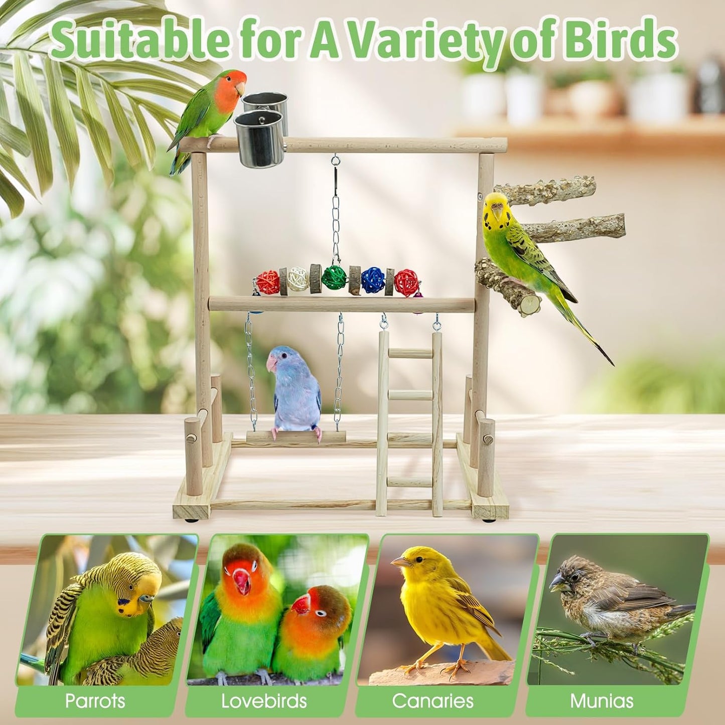 kathson Bird Play Stand Parrot Perch Stand Natural Wood Bird Playground Playstand for Cockatiel Conures Parakeet Parrots Budgie Lovebird Finch Small Birds