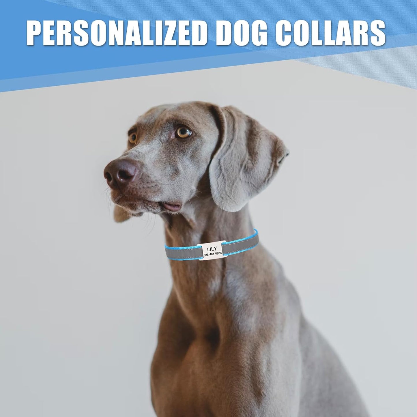 Reflective Personalized Dog Collar with Name Plate,Adjustable Custom Engraved Pet Name and Phone Number Collar,Silent Slide On Stainless Steel Pet Tag for Dogs,Sky Blue