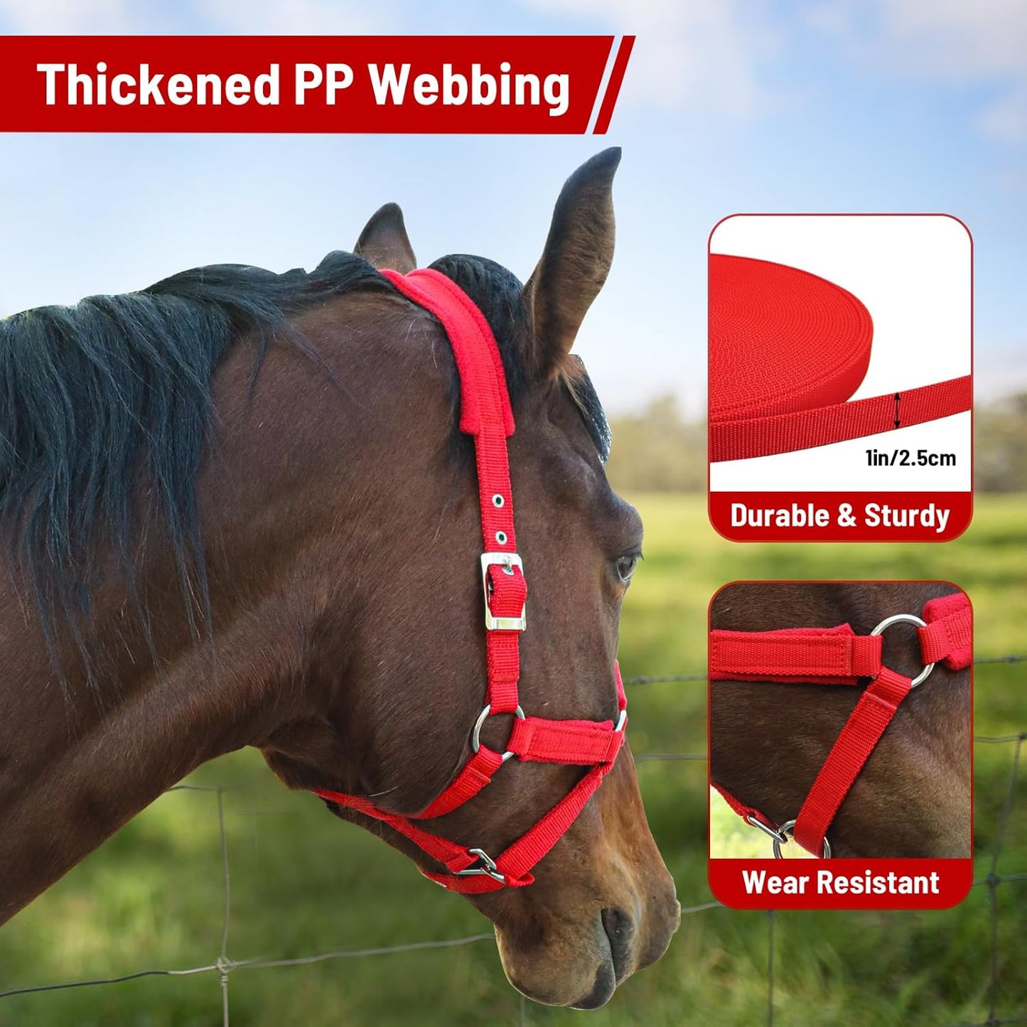 Adjustable Horse Halter with Fleece Padding, Available in Black, Red, Blue