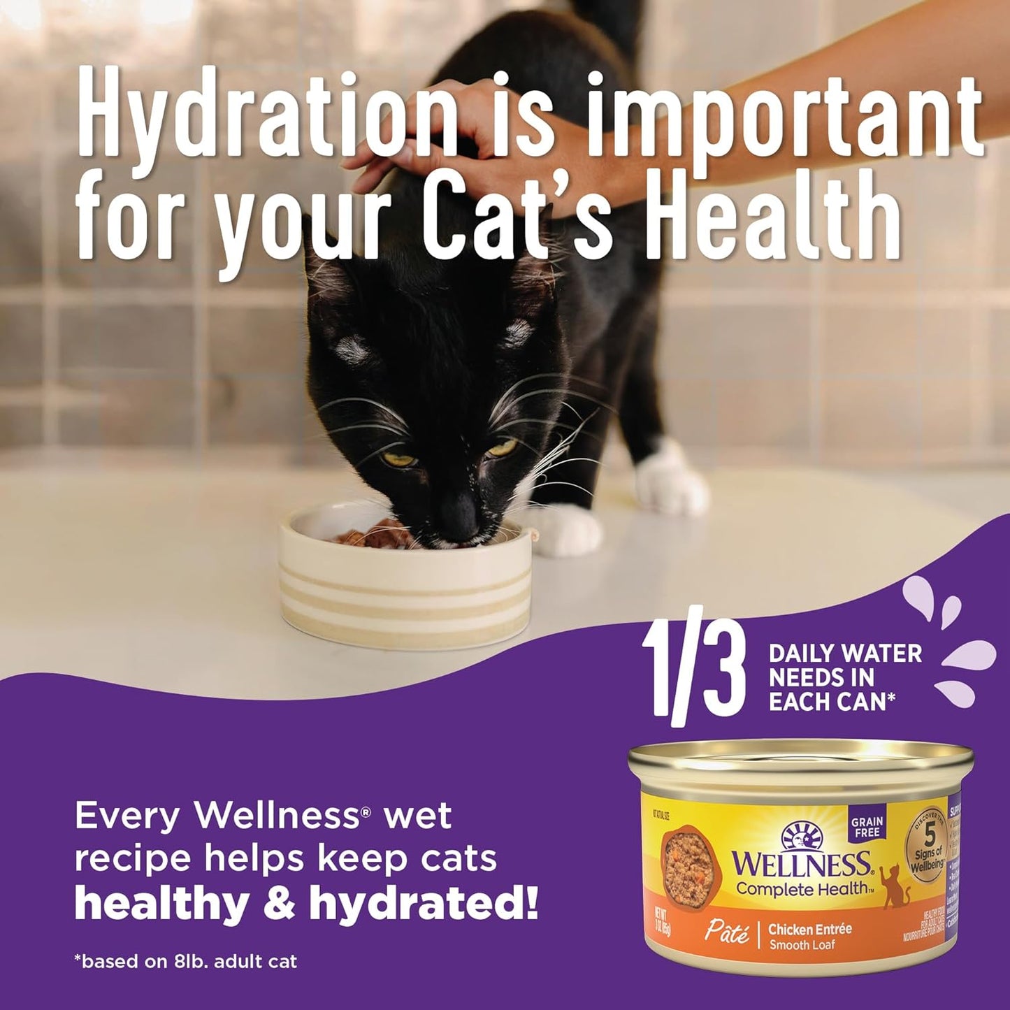Wellness Complete Health Minced Adult Wet Cat Food, Natural, Protein-Rich, Grain Free, 5.5 Ounce, 24 Pack, (Turkey & Salmon Entrée)