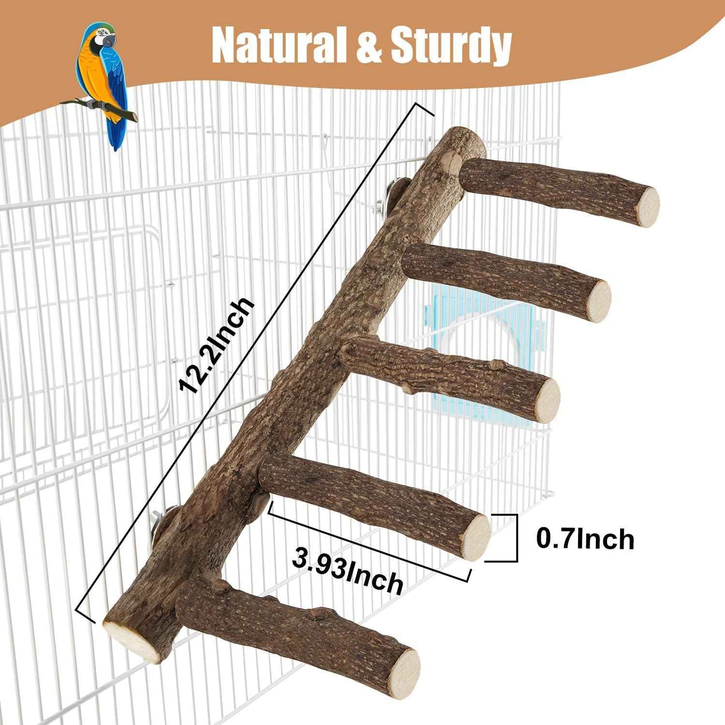 Parrot Wood Stand, Parrots Perch for Cage, Natural Bird Ladder for Small Medium Parrot, Parakeets, Cockatiels, Conures, Hamster(12.2 inch)