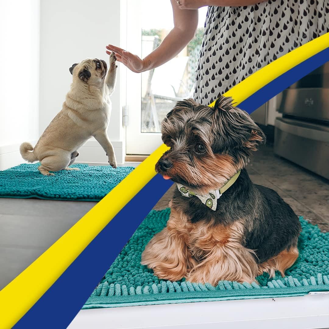 Muddy Mat® AS-SEEN-ON-TV Highly Absorbent Microfiber Door Mat and Pet Rug, Non Slip Thick Washable Area and Bath Mat Soft Chenille for Kitchen Bathroom Bedroom Indoor and Outdoor - Teal 48" x 72"