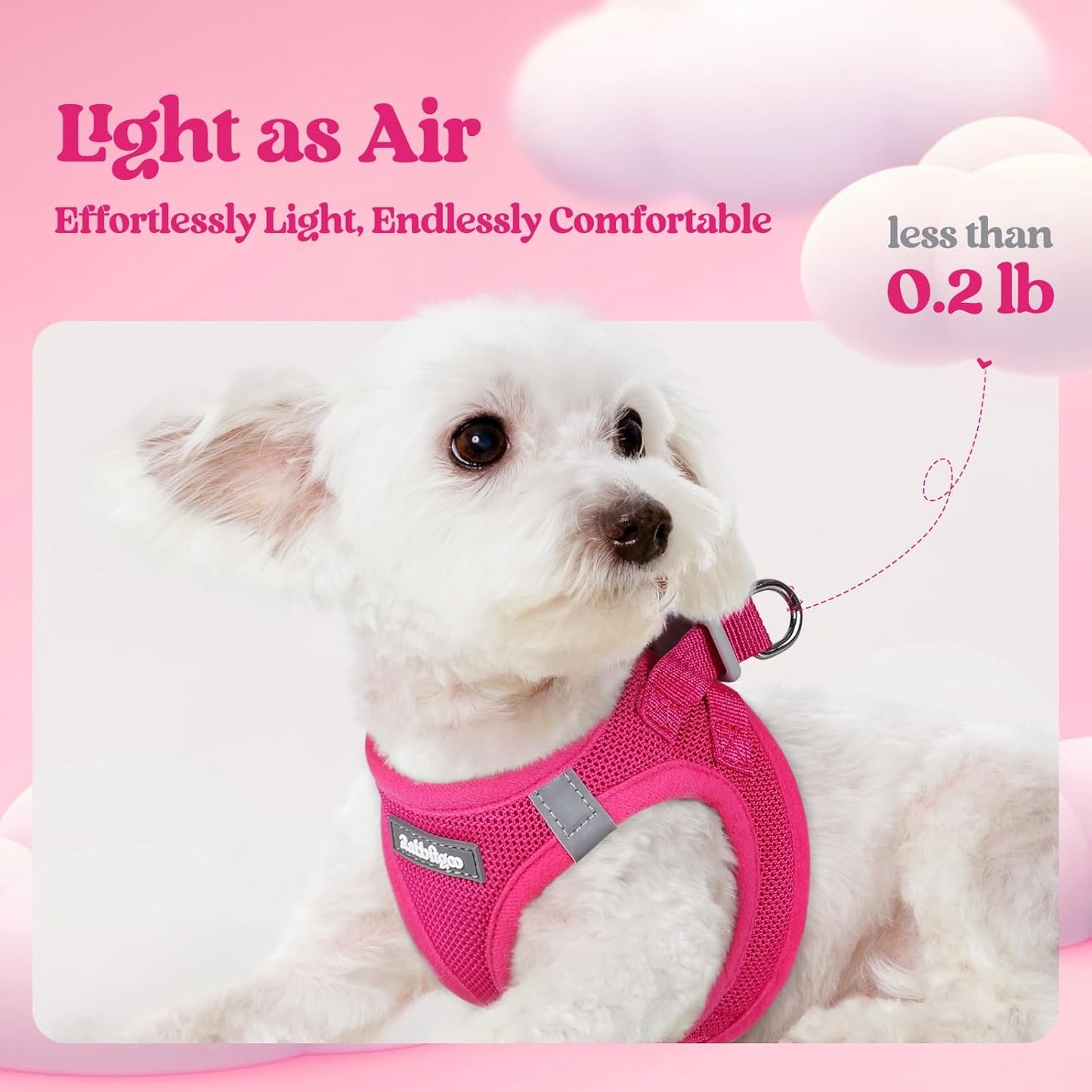 rabbitgoo Dog Harness Small Medium Sized and Leash Set, Step in Soft Light Puppy Vest, Breathable Mesh Pet Harness, Reflective for Safe Easy Walking, Rose Red L