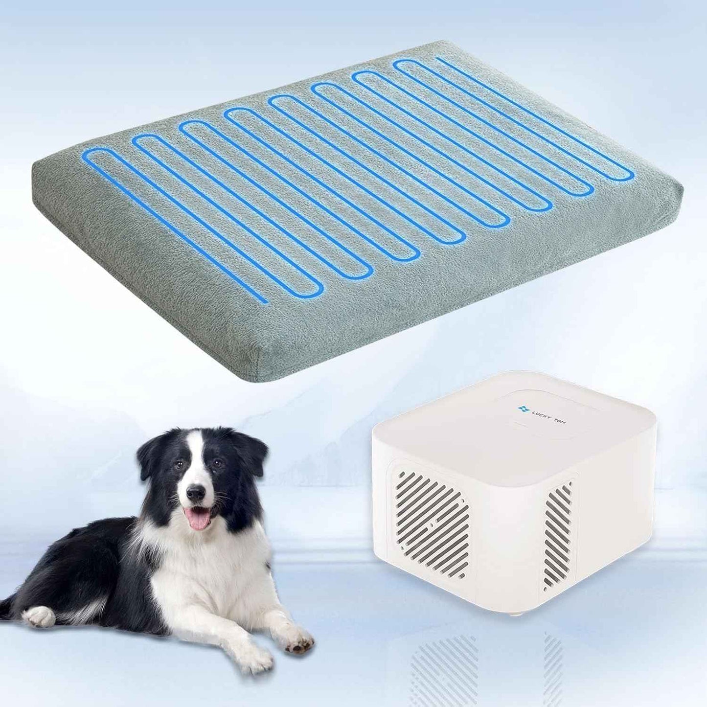 Pet Bed Cooling System, No Refrigeration or Chemical Gel Needed, Consistent Cold Water Pad, Machine Washable Bed, Ideal for Home and Crates (Cooling Green, 35" x 22")