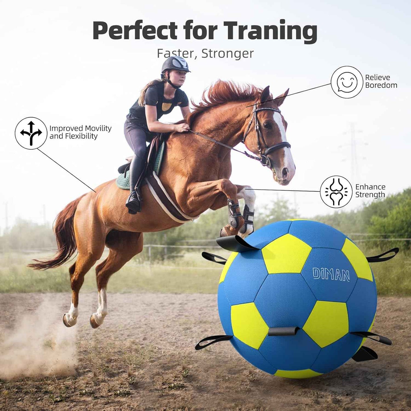 Diman Herding Ball for Dogs – 25 Inch Horse Ball, Large Dog Toy for Australian Shepherd (Blue Yellow)