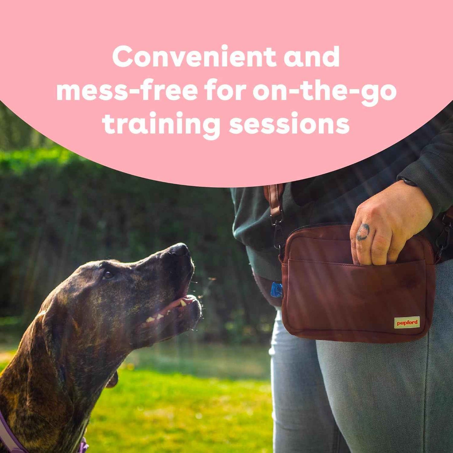 Pupford Freeze Dried Training Treats for Dogs & Puppies, 225+ Two Ingredient Bites (Salmon, 2 oz)