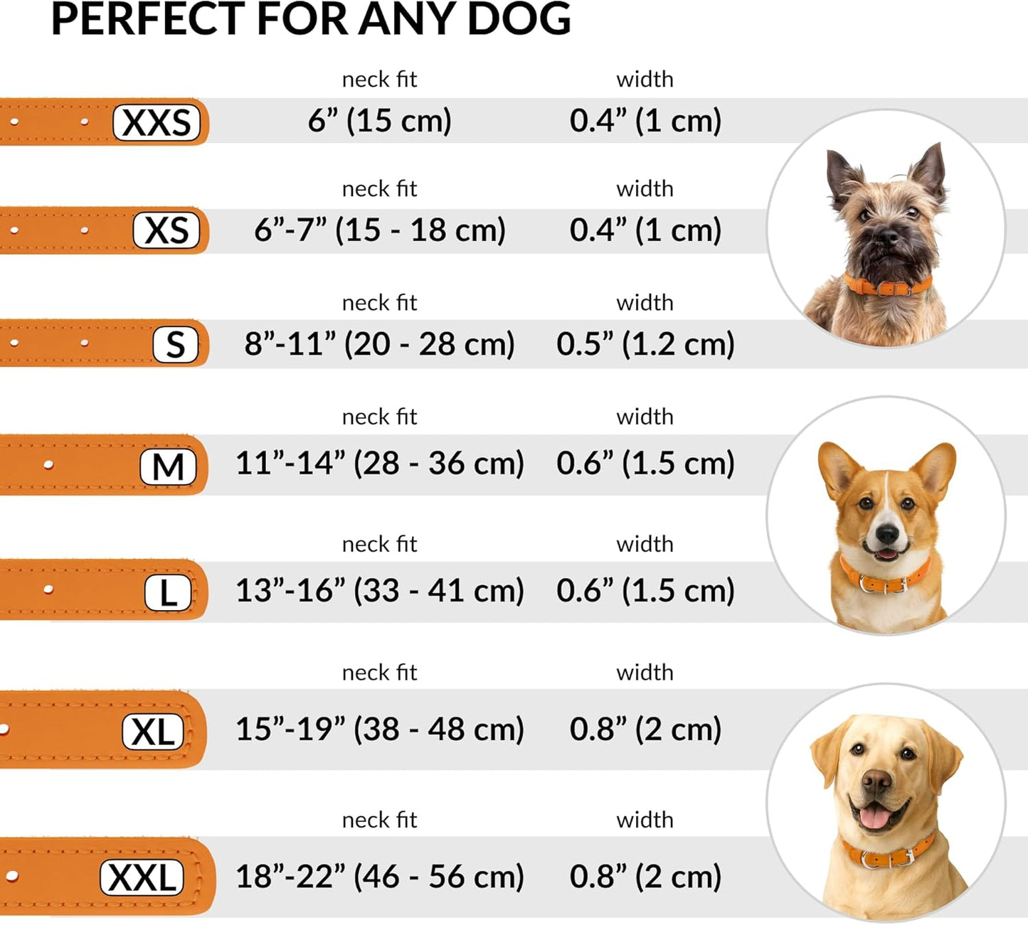 CollarDirect Rolled Leather Dog Collar, Soft Padded Round Puppy Collar, Handmade Genuine Leather Collar Dog Small Large Cat Collars 13 Colors (8-11 Inch, Orange Smooth)