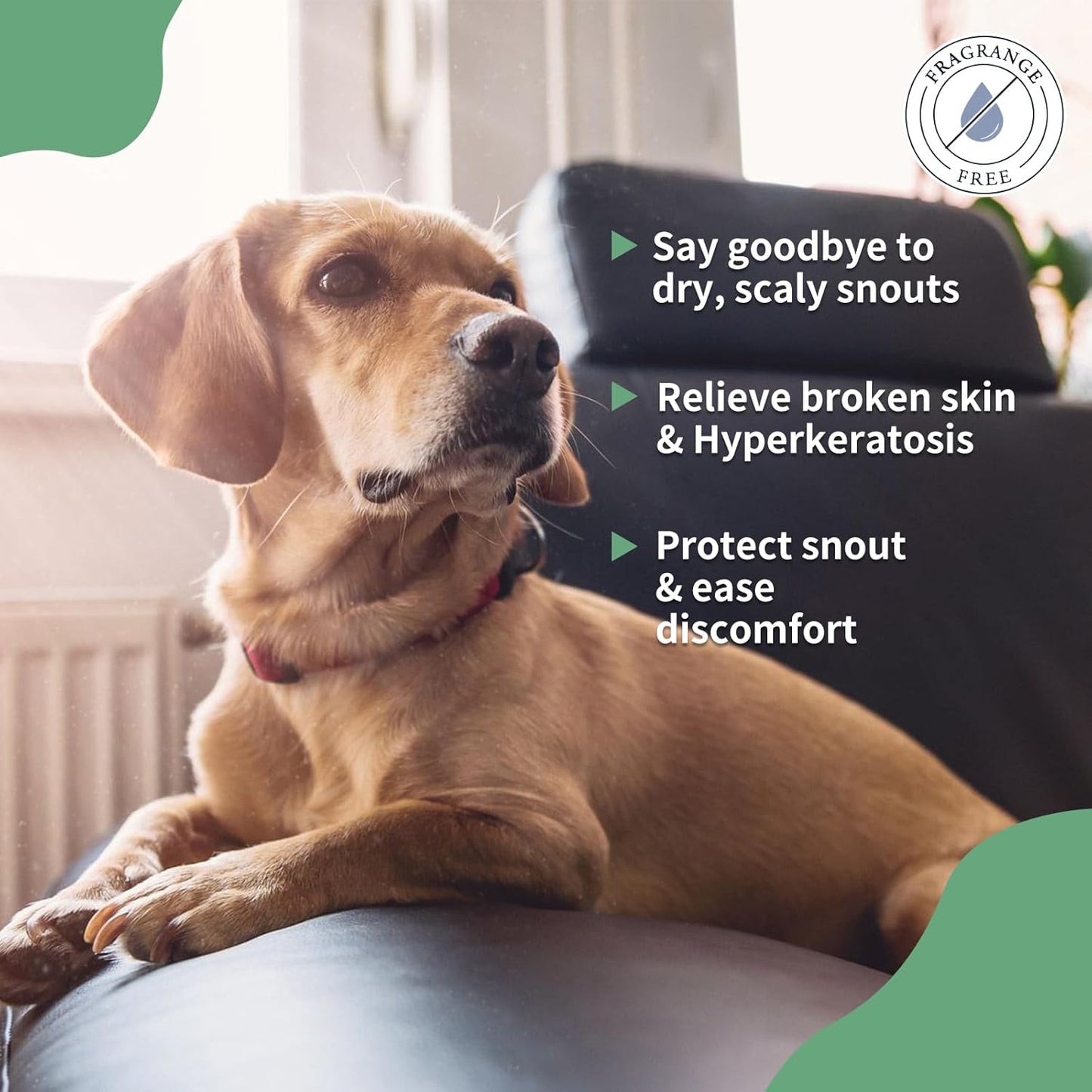Snout Soother Nose Balm for Dogs & Cats - Natural Healing & Moisturizing Balm for Dry, Cracked Snouts - Plant-Based, Soothing Skin Formula