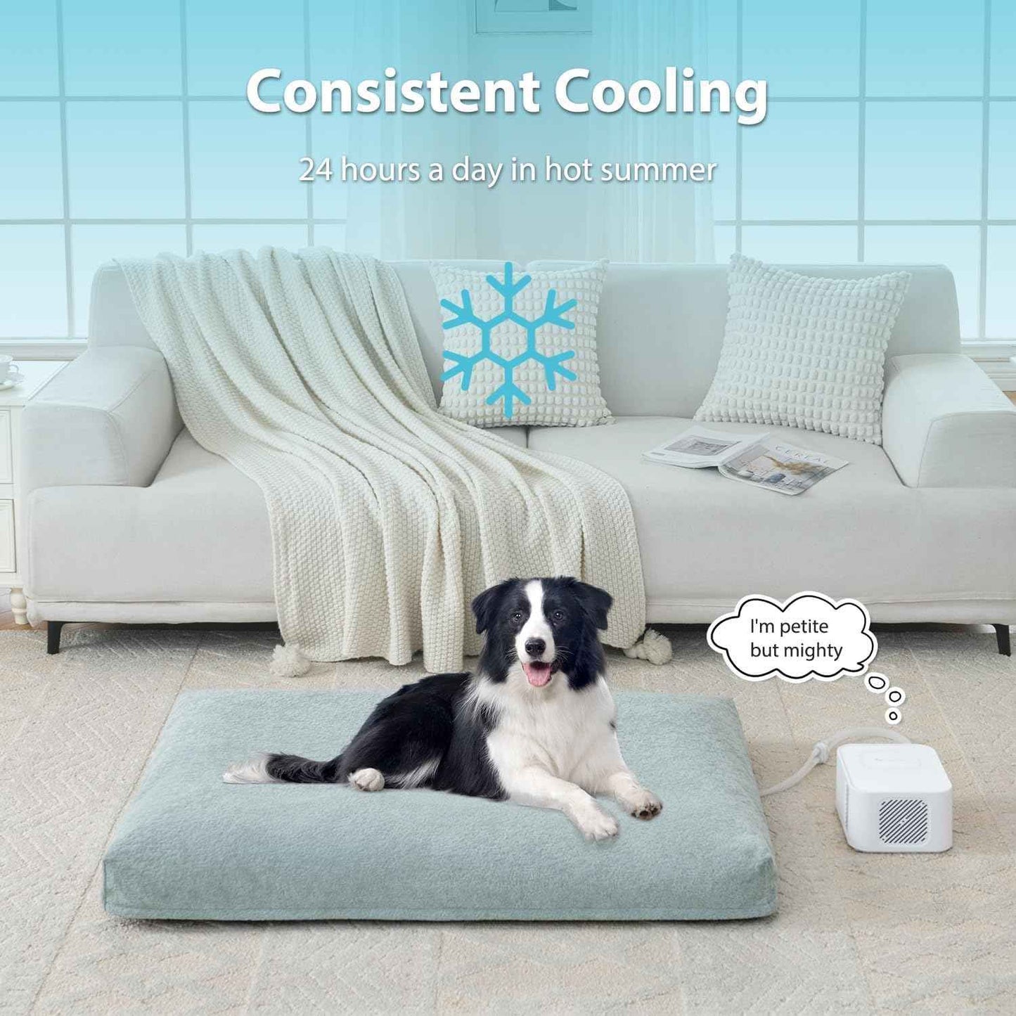 Pet Bed Cooling System, No Refrigeration or Chemical Gel Needed, Consistent Cold Water Pad, Machine Washable Bed, Ideal for Home and Crates (Cooling Green, 35" x 22")
