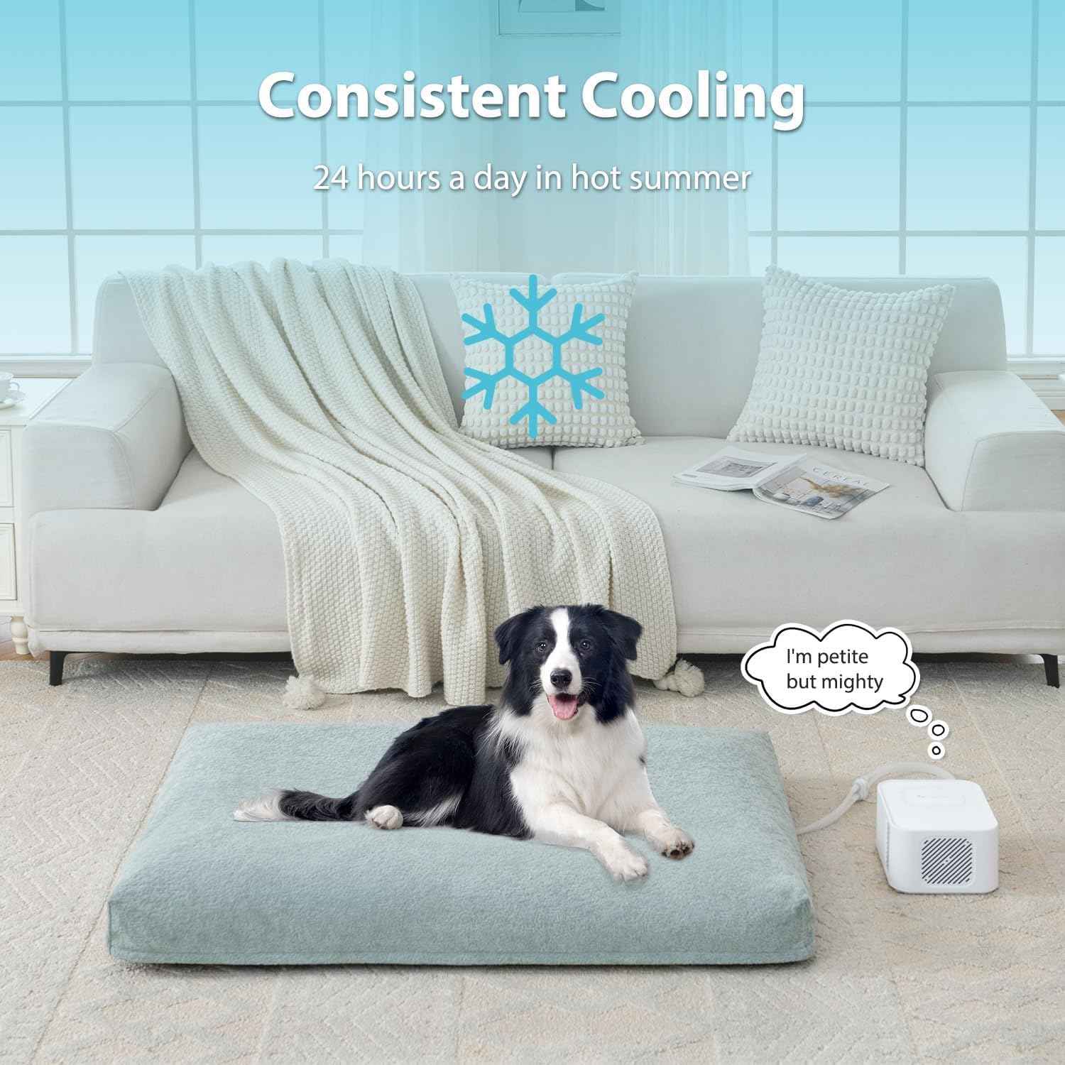 Pet Bed Cooling System, No Refrigeration or Chemical Gel Needed, Consistent Cold Water Pad, Machine Washable Bed, Ideal for Home and Crates (Cooling Green, 35" x 22")