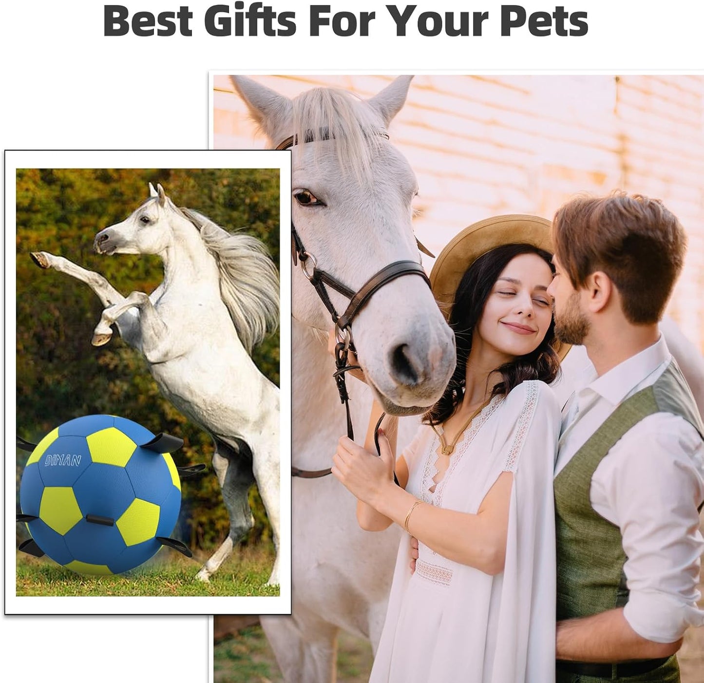 Diman Herding Ball for Dogs – 25 Inch Horse Ball, Large Dog Toy for Australian Shepherd (Blue Yellow)