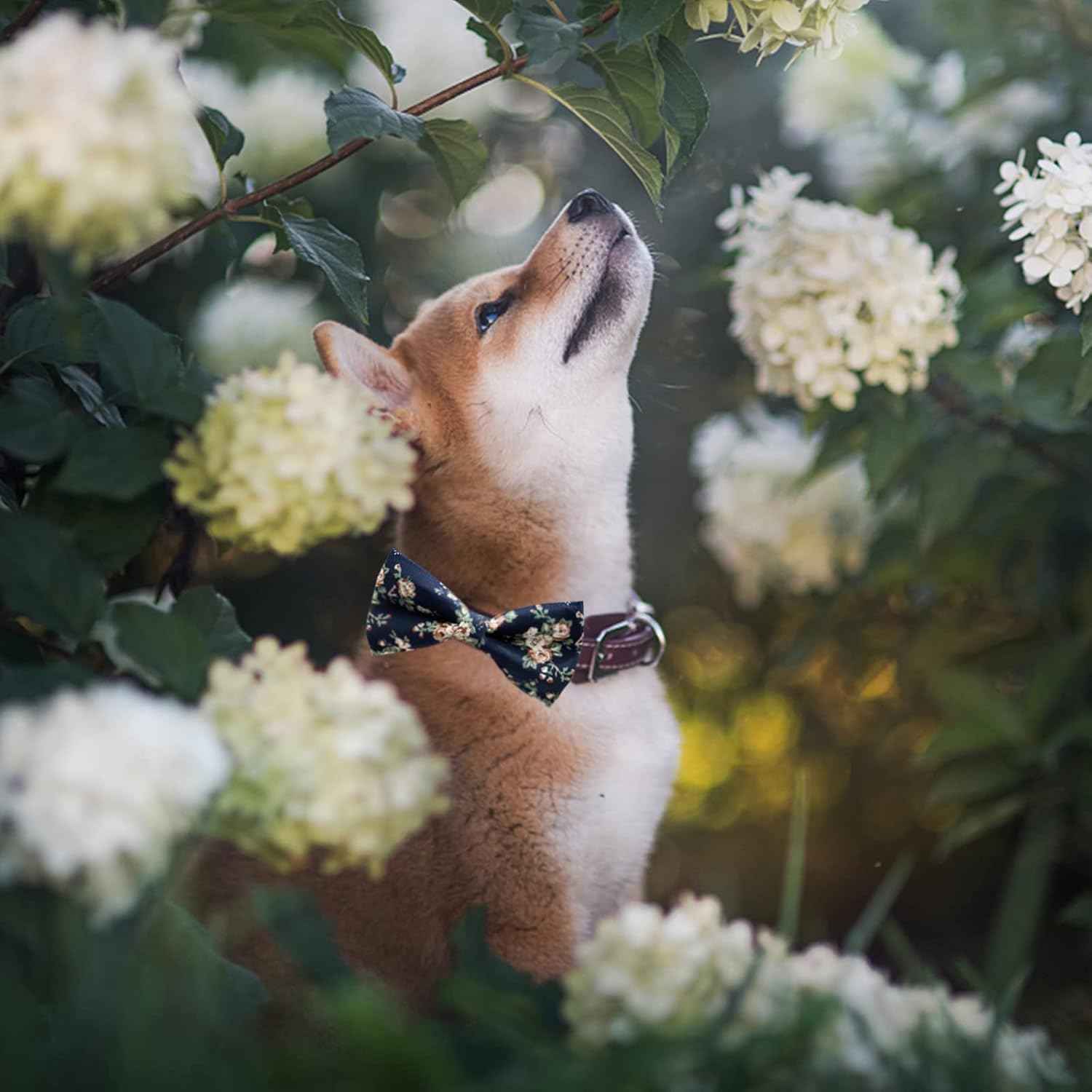 Dog Bow Ties, 10 PCS Flower Pattern Adjustable Bowties for Cats & Small Medium Large Dogs Collar Charms for Birthday Wedding Parties（Flower）
