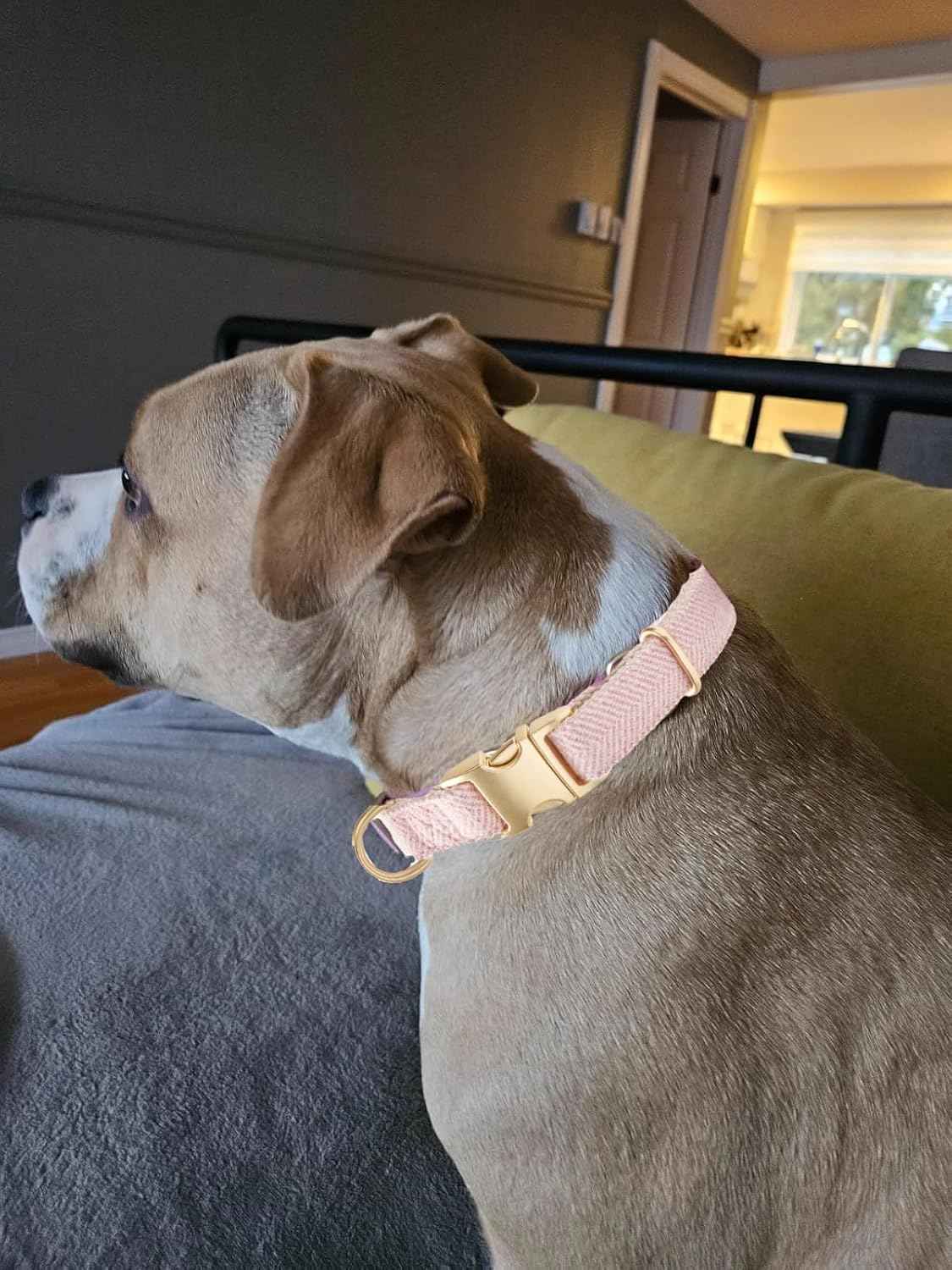 Soft Cotton Hemp Dog Collar with Metal Buckle Adjustable Twilled Dog Collars for Female Small Medium Large Dogs(Pink,Medium)