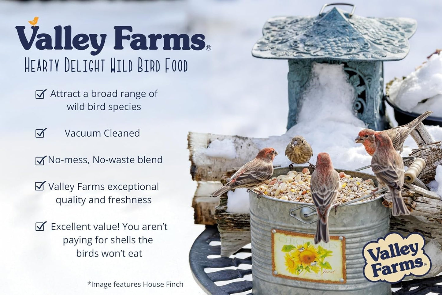 Valley Hearty Delight Wild Bird Food for Outside Feeders No-Mess Bird Seed w Sunflower Hearts & Peanuts no Filler Bird Seed Perfect for Patios 15 LBS