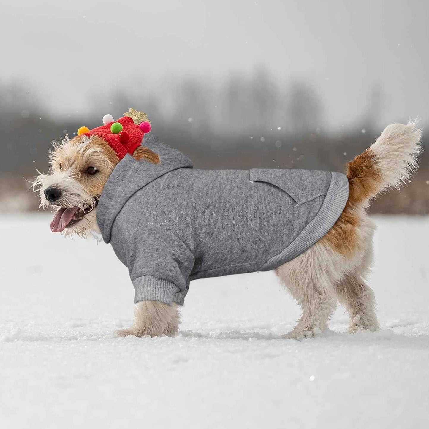 Dog Hoodie Sweater Solid Soft Brushed Fleece Dog Clothes with Pocket (Grey-XS)