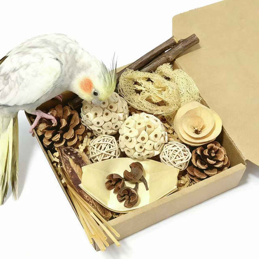 Bird Toys - Sola Ball Foraging Box, 10 Natural Ingredients | Chewing and Shredding Parrot Toys | Ideal for Parakeets/Cockatiels/Conures/Lovebirds and Small to Medium Birds