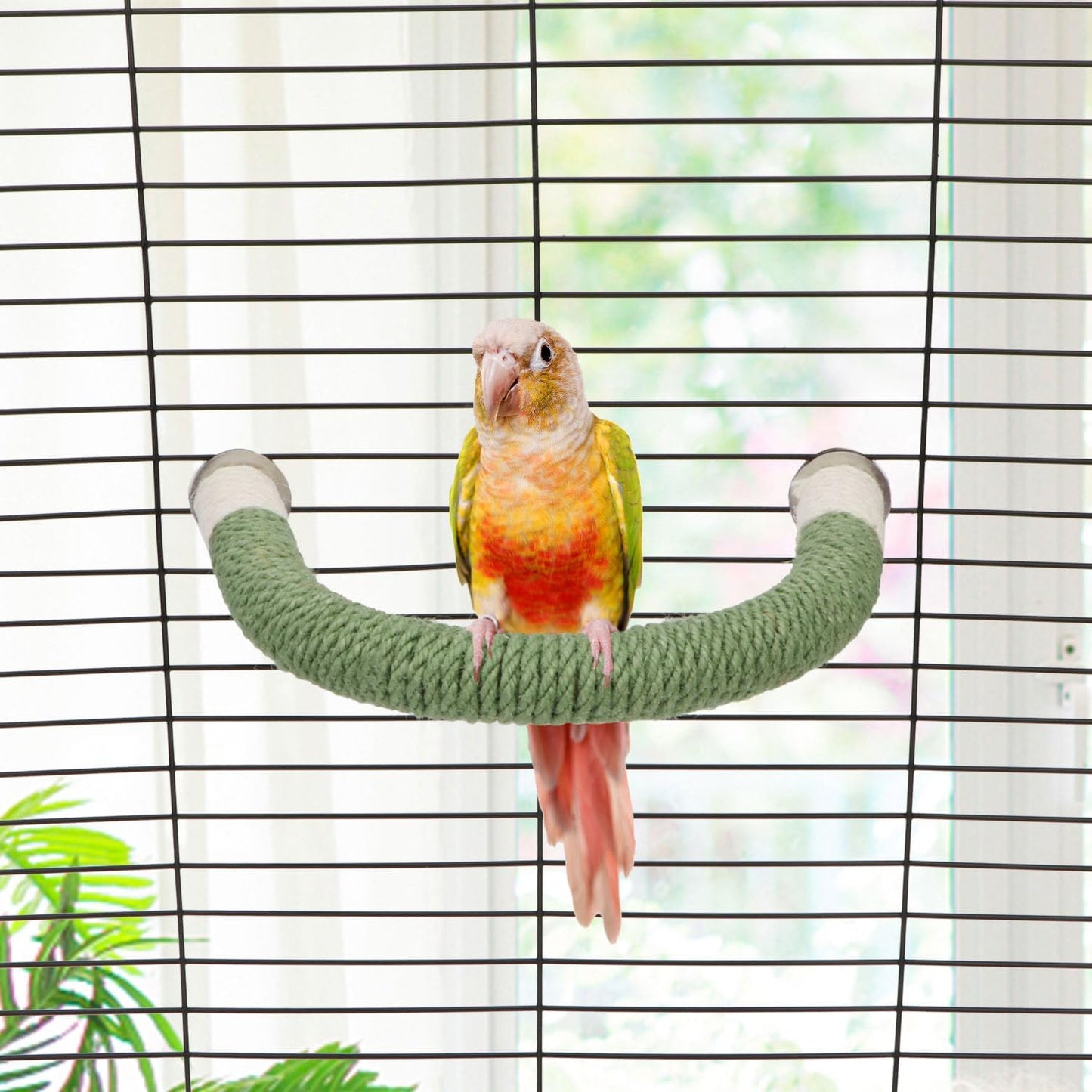 Hypeety Bird Perches Parrot U Shape Natural Wood Hemp Rope Stand Perch Bird Stick Paw Grinding Perch Birdcage Accessories Perch Standing Toy for Budgies Parakeet Cockatiel Conures