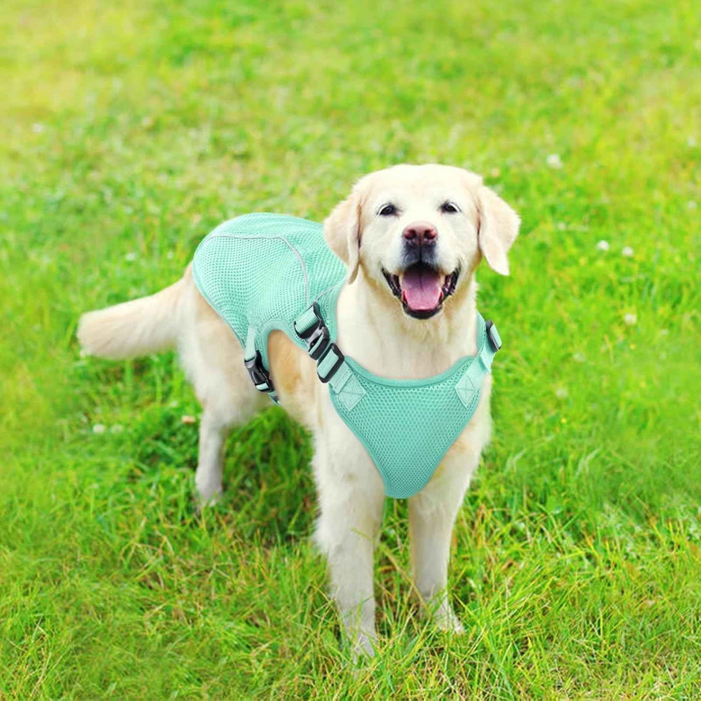 Kuoser Dog Cooling Vest for Large Dogs, Lightweight Doggie Cooler Jacket Breathable Mesh Pet Cooling Shirts Reflective Puppy Cool Harness for Beach, Hiking, Walking Green XXL