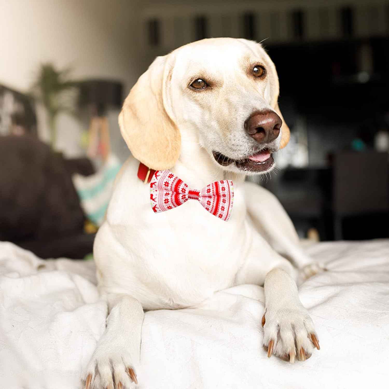 PET SHOW 10pcs/Pack 4.5 * 2.5" Christmas Large Dogs Collar Attachment Bow Ties Xmas Parties Medium Dog Cats Collar Charms Accessories Slides Bowties Assorted