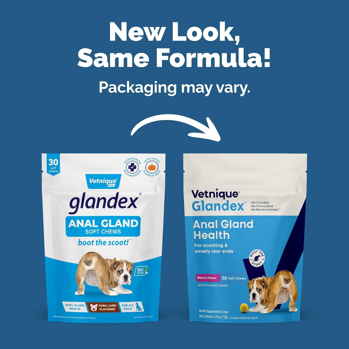 Vetnique Labs Glandex Anal Gland Soft Chew Treats with Pumpkin for Dogs Digestive Enzymes, Probiotics Fiber Supplement for Dogs Boot The Scoot (Bacon Flavor Chews, 30 Count)