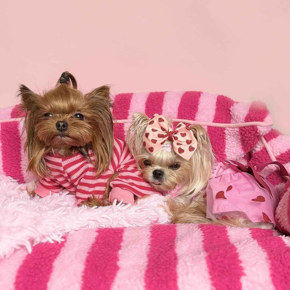 Fitwarm Pink and Red Striped Dog Pajamas, Waffle Dog Clothes for Small Dogs Girl Boy, Puppy Onesie with Feet, Pet Cat Outfit, Medium