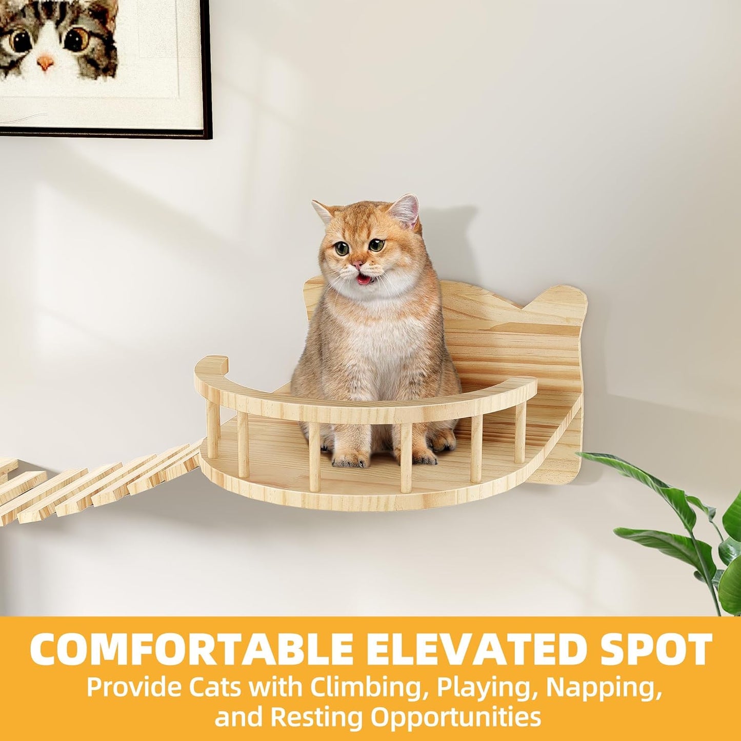 Cat Wall Shelves, Cat Wall Furniture Pine Wooden Feline Shelf, 18 Piece Feline Shelves and Perches with Condos, House, Steps, Bridge Ladder, Scratching Post and Tunnel
