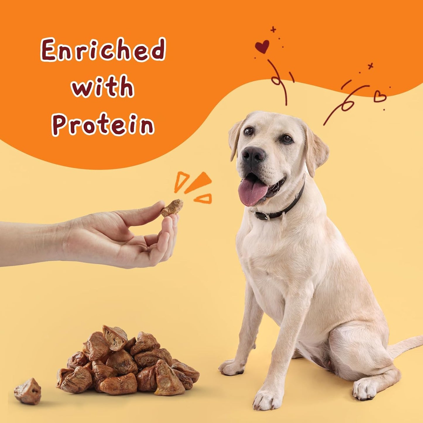 Jungle Calling Freeze Dried Cat & Dog Treats, Freeze Dried Chicken Hearts for Cats & Dogs, High Protein Single Ingredient Chicken Heart Treats, Grain Free Pet Training Treats (Chicken Hearts, 2.3 oz)