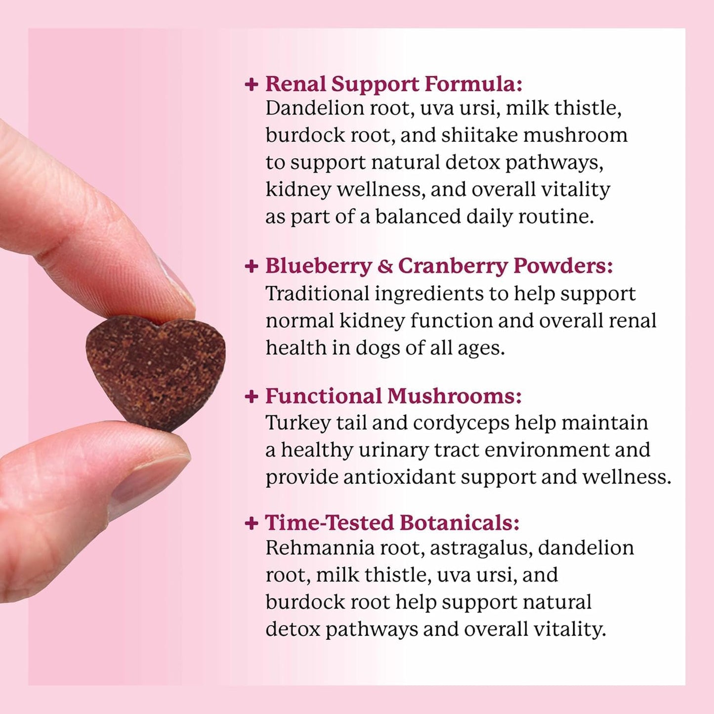 Dr. Harvey’s Kidney Support Soft Chews for Dogs, Renal & Urinary Tract Health Supplement with Turkey Tail Mushroom, 90 Chews
