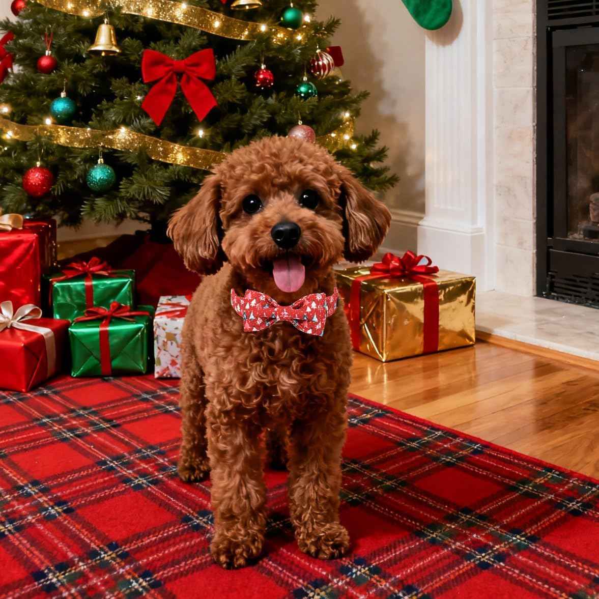 Lionet Paws Christmas Dog Collar with Bow tie,Cute Christmas Tree Red Dog Collar Bow Tie for Dogs and Cats Female, XS, Neck 8-12 inches