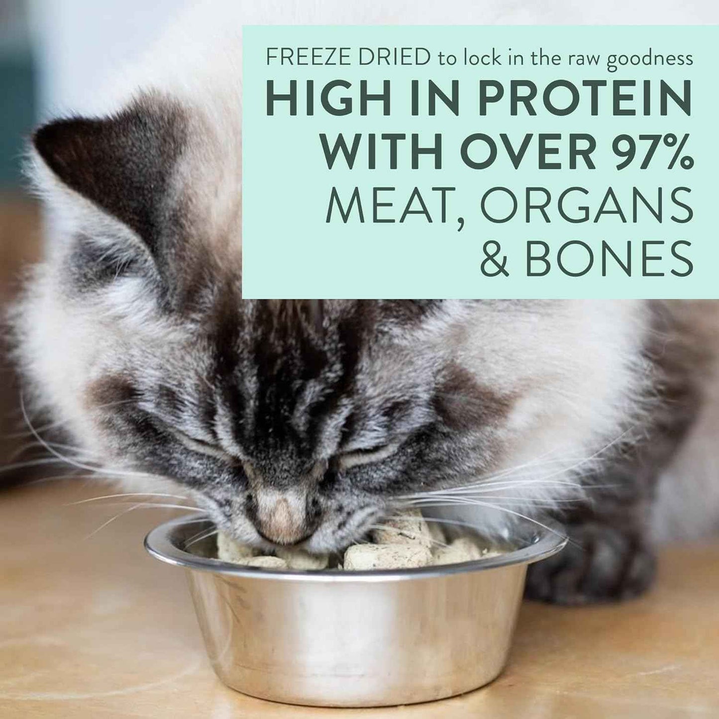 The New Zealand Natural Pet Food Co. Meow Freeze Dried Cat Food - Chicken & King Salmon Recipe, High Protein Cat Treats & Toppers, Dry Food,1.76oz