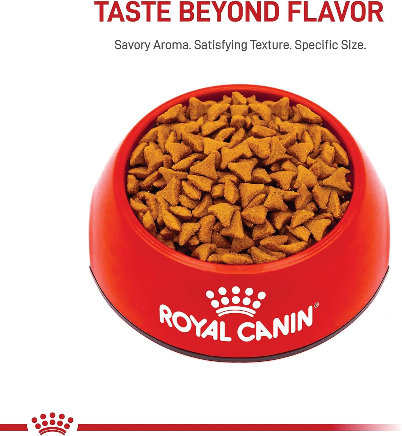 Royal Canin Feline Care Nutrition Hairball Care Adult Dry Cat Food, 3 lb Bag