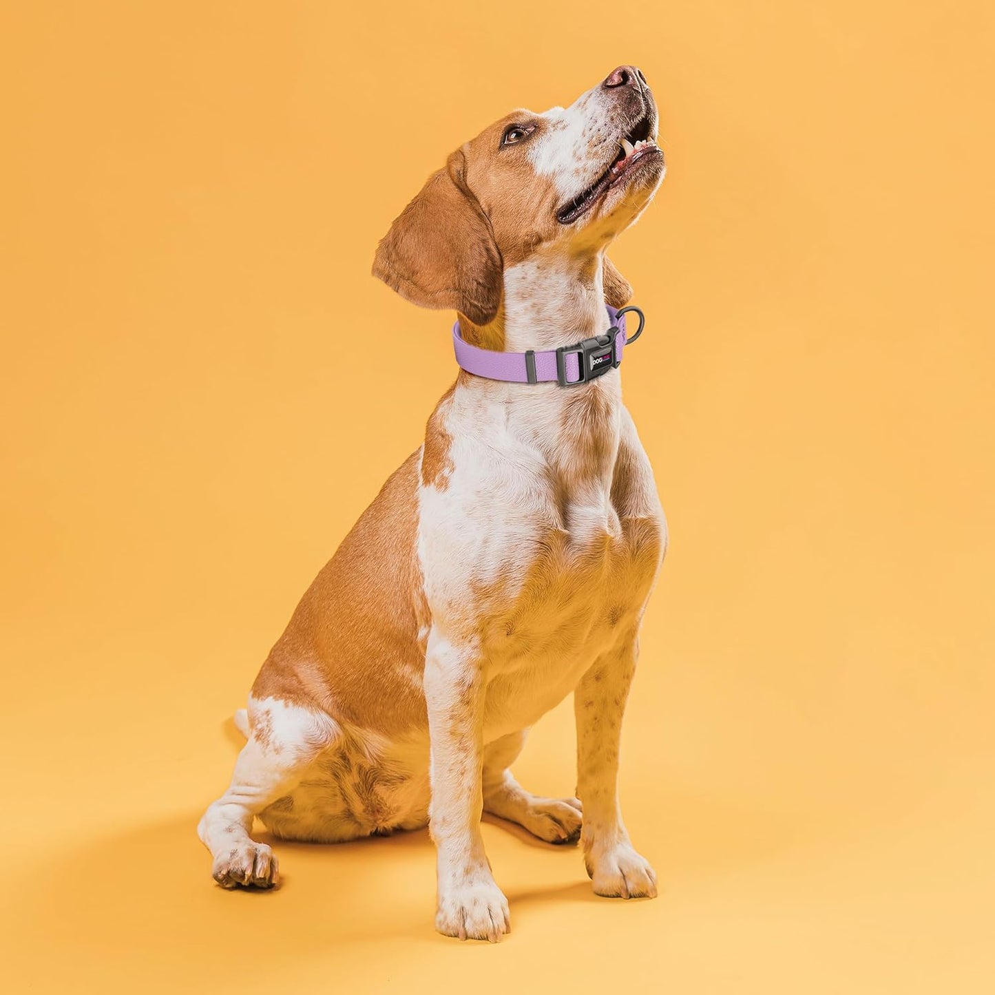 Waterproof BioThane Dog Collar with Pebble Emboss - Quick Release Buckle, Odor Resistant, Durable & Easy Clean Design for Everyday Wear and Outdoor Use, Made in USA (Amethyst Purple, W 1" L 15-25")