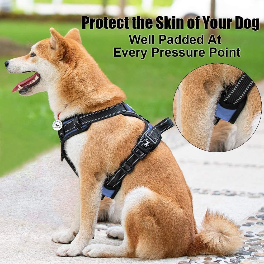 PoyPet No Pull Dog Harness, Reflective Comfortable Vest Harness with Front & Back 2 Leash Attachments and Easy Control Handle Adjustable Soft Padded Pet Vest for Small to Large Dogs (Light Blue,XL)