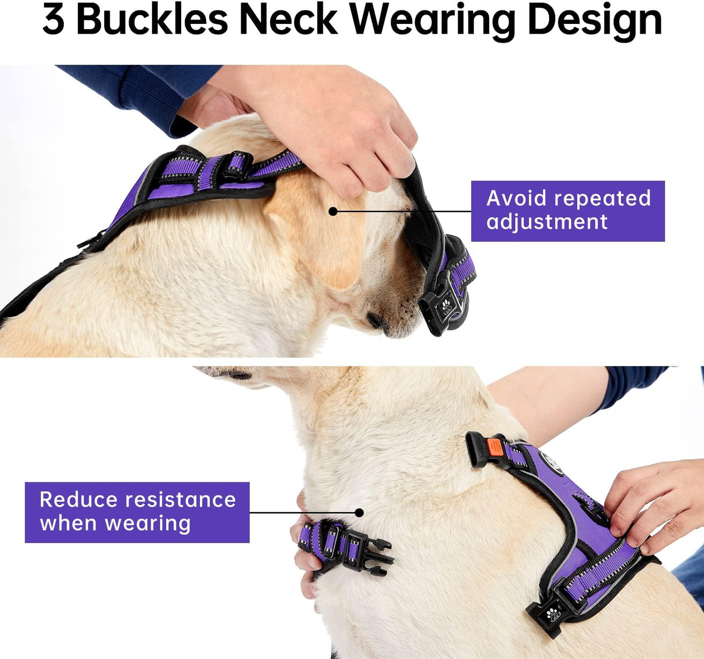 IVY&LANE No Pull Dog Harness for Small Dogs, Dog Vest Harness with Leash, Safety Belt and Storage Strap, Fully Adjustable Harness, 360° Reflective Strip, Soft Handle (Purple, S)