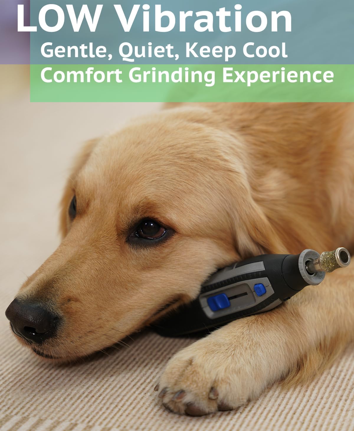 Diamond Dog Nail Grinder Attachment, Diamond Rotory Bit for Dogs&Pets Nail Care, Made for Dremel Grinder for Animals Nail Care & Home Grinder Tools, Retriever, Fast-grit