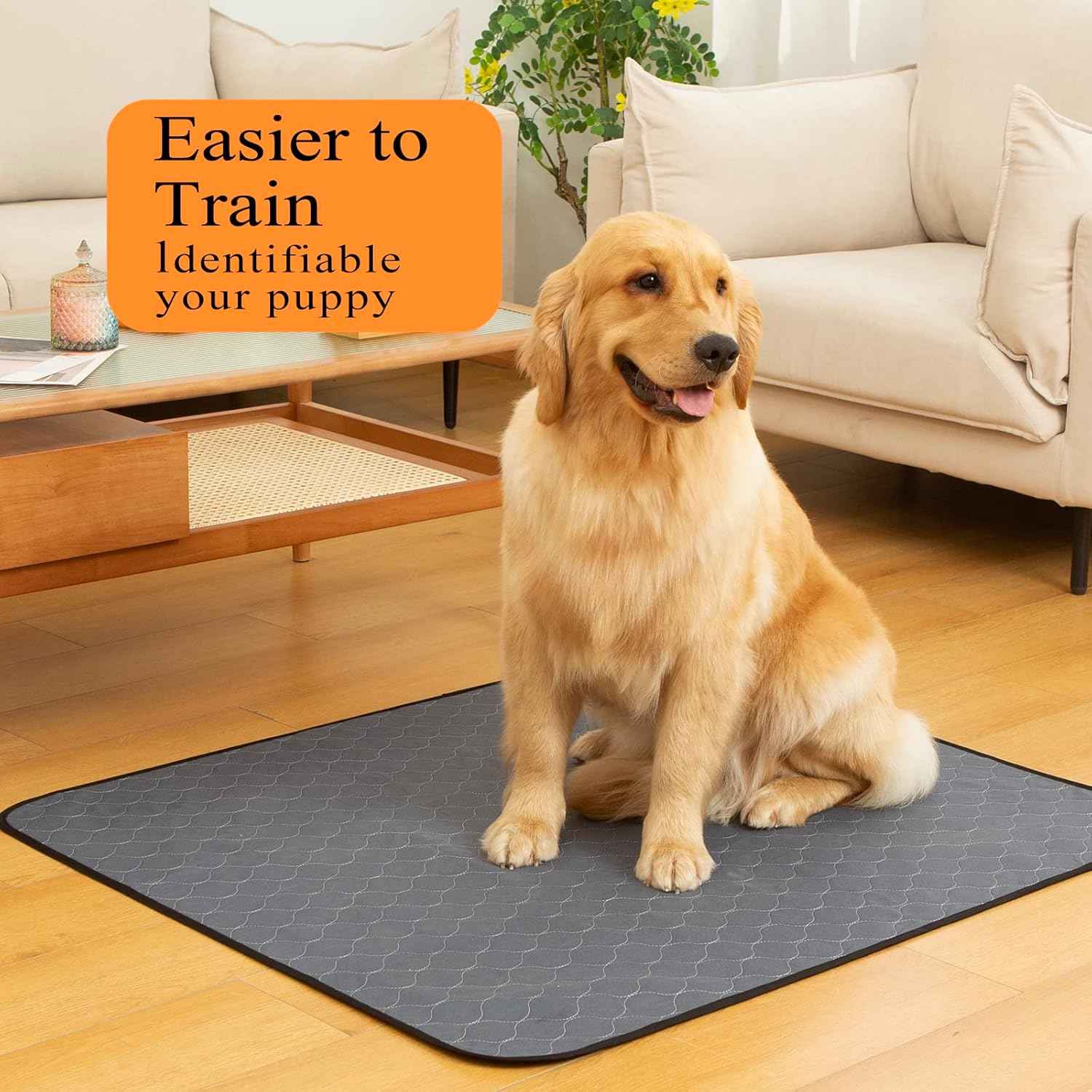 Bunlitent Washable Pee Pads for Dogs 5 Pack, 36x41, Reusable Puppy Pads, Dog Training Pads with Quick Dry, Anti-Slip Dog Cat Pee Pads, Whelping Pads, Potty Pad