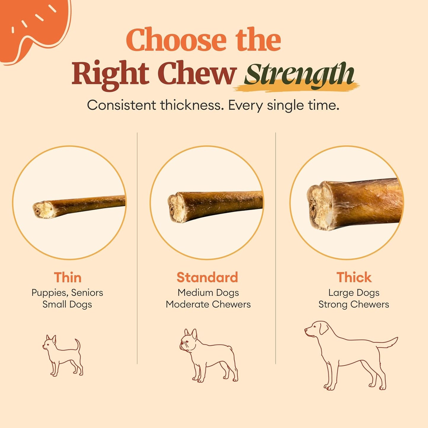 Nature's Ranch Bully Sticks for Dogs 3–5 Inch (15 Pack), Low Odor Long Lasting Dog Chews, Rawhide Free Natural Chew Sticks, Single Ingredient Beef Pizzle for Small & Medium Dogs